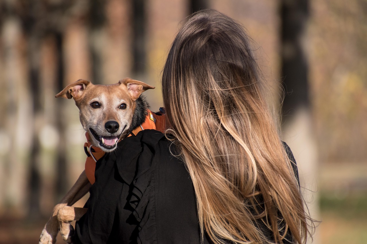 Cane che segue il padrone in casa